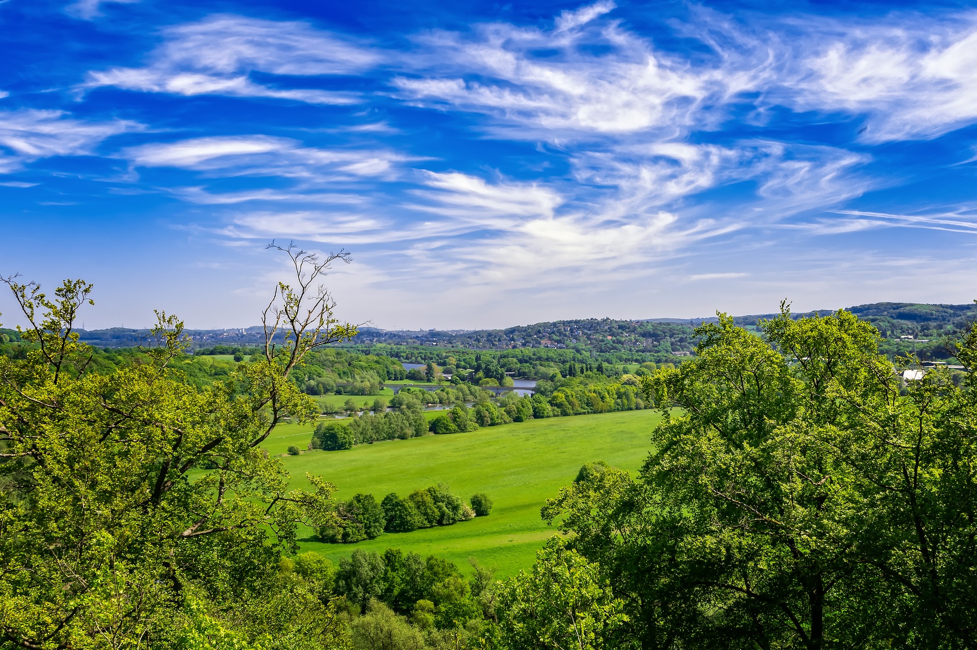 Aussicht auf saftig grüne Wiesen und Wald mit blauen Himmel